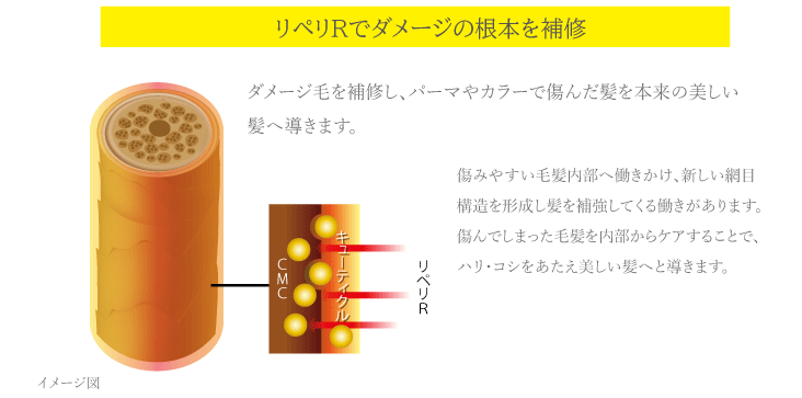 リペリRでダメージの根本を補修